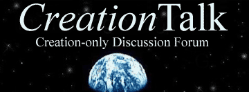 CreationTalk - Creation-Only Discussion Forum