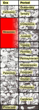Mesozoic in the Geologic Column