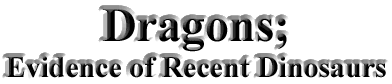 Dragons; Evidence of Recent Dinosaurs