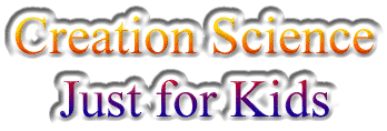 Creation Science Just for Kids
