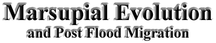 Marsupial Evolution and Postflood Migration