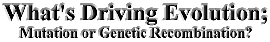 What's Driving Evolution; Mutation or Genetic Recombination?
